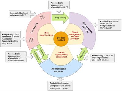 “When a dog bites someone”: Community and service provider dynamics influencing access to integrated bite case management in Chad